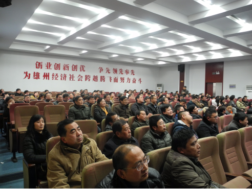 图片12 图片12
