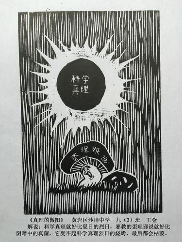 6 6
