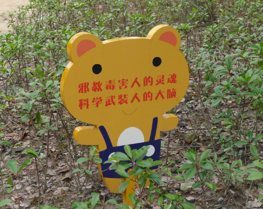 上海市嘉定区反邪教协会在重点地点开展反邪教宣传