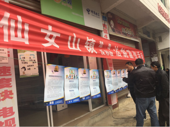 重庆市武隆区反邪教协会在仙女山镇开展2017年防邪反邪集中宣传活动