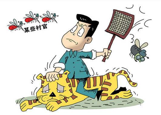 反邪教既要“打虎拍蝇” 更要教育挽救大多数受骗群众