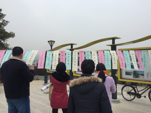 图片13 图片13