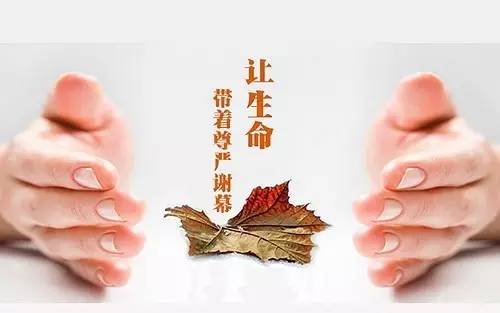 安宁疗护——让生命带着尊严安然谢幕