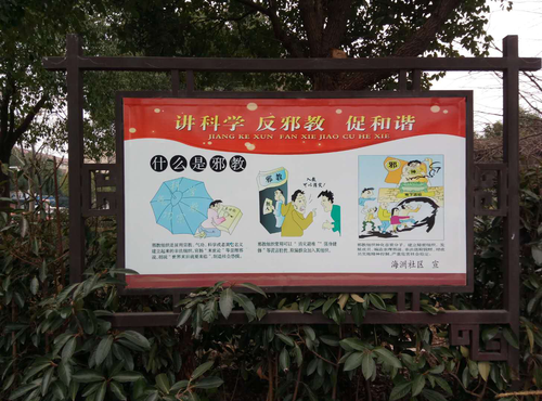 图片8