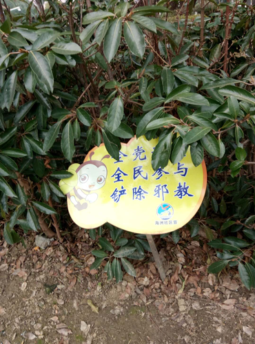 图片9