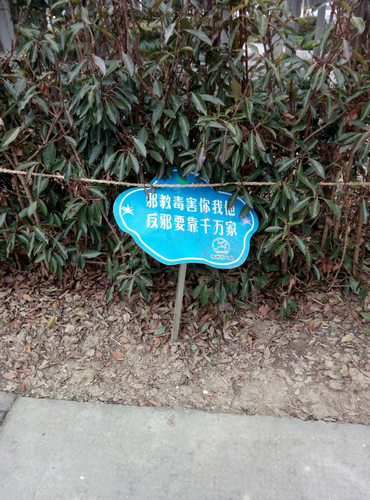 图片3