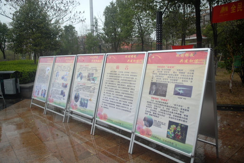 图片2