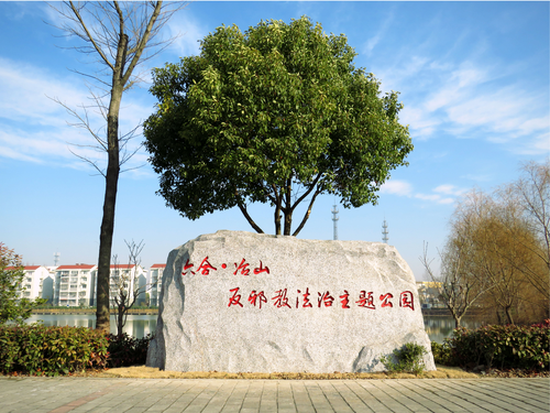 图片2 图片2
