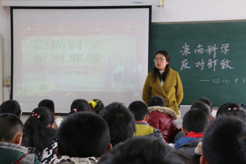 图片15 图片15