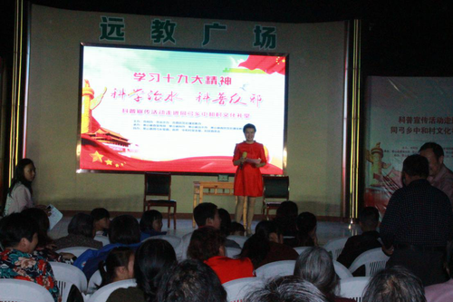 图片1