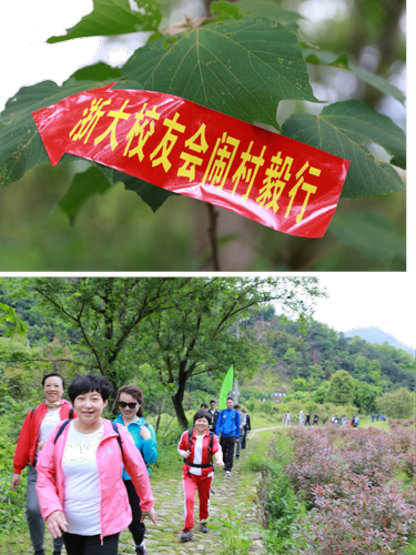 图片2 图片2