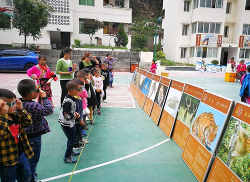 QQ图片20180524181849