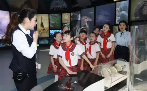 图片3 图片3