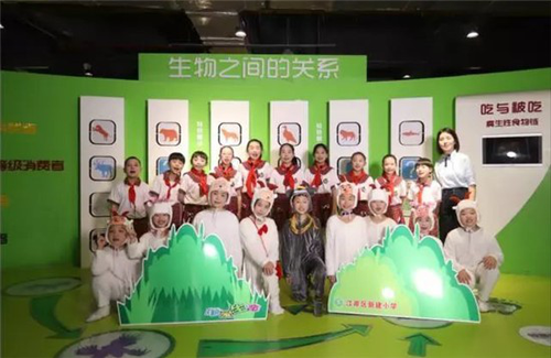 图片5 图片5
