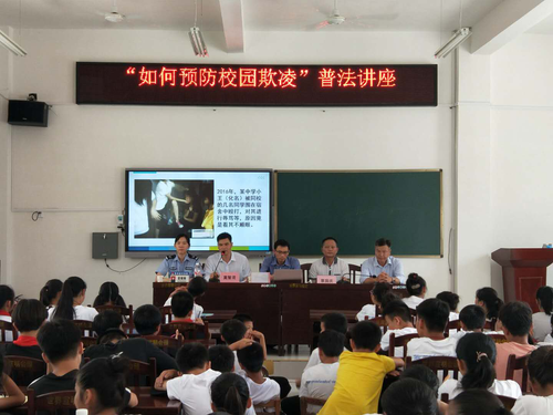 图片7 图片7