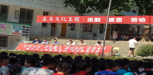图片13 图片13