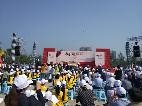 图片15 图片15