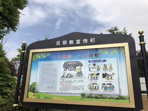 图片11 图片11