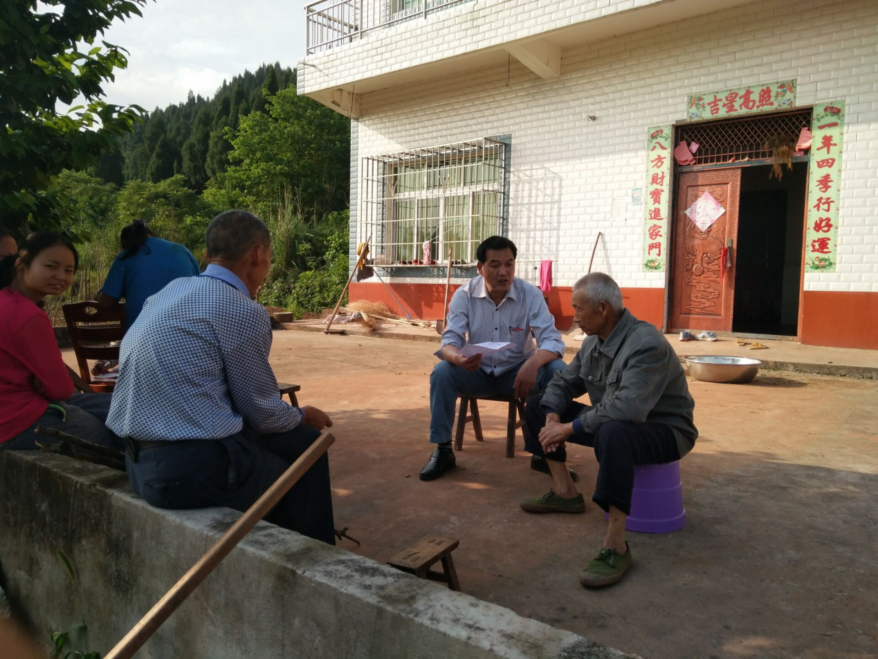 重庆市合川区龙凤镇全力推进无邪教镇街创建