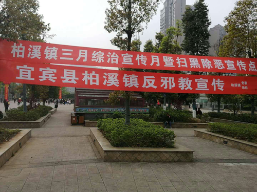 图片24 图片24
