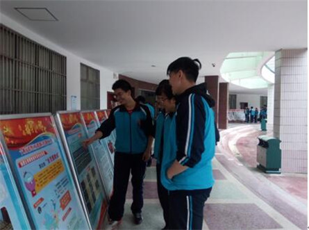 图片4 图片4