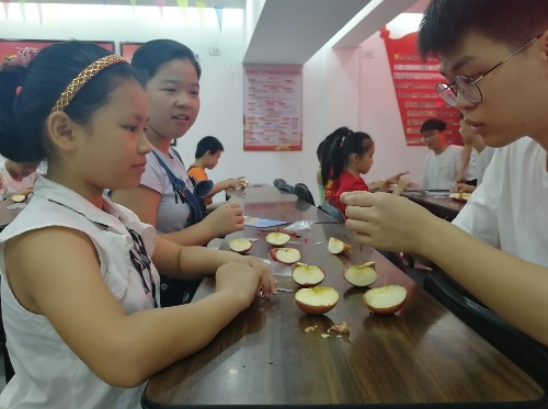科学之光,水果电池1 科学之光,水果电池1