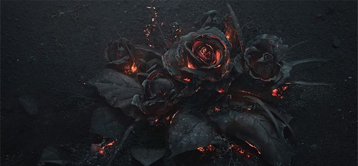 燃烧的玫瑰花