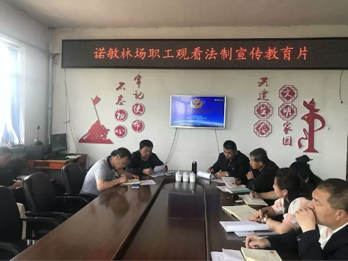 图片3
