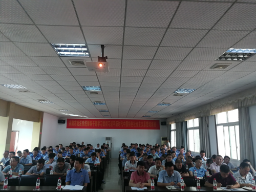 图片7 图片7