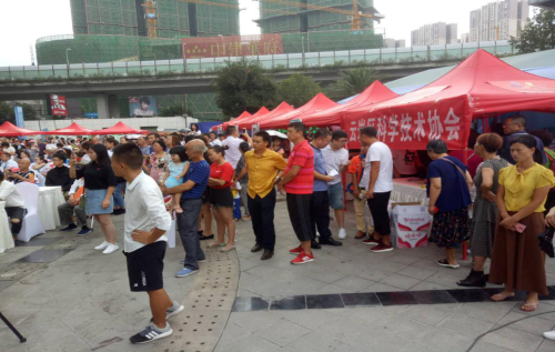 图片11 图片11