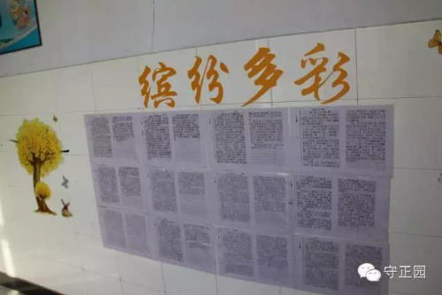 学生观看反邪教警示教育专题片《净土》观后感