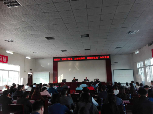 图片13 图片13