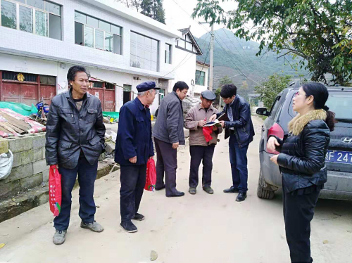 图片17 图片17