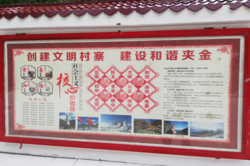 图片8