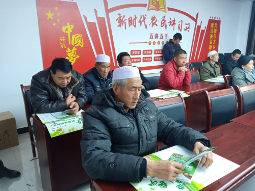 图片003