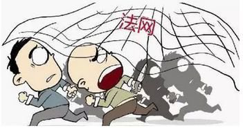 图片3 图片3