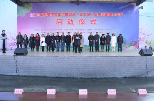 图片4 图片4