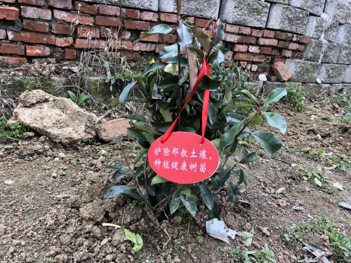 图片2 图片2