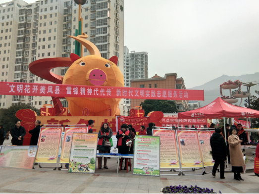 陕西省宝鸡市凤县借力学雷锋日开展反邪教宣传