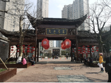 一树新载益四邻，甬城反邪添新绿82
