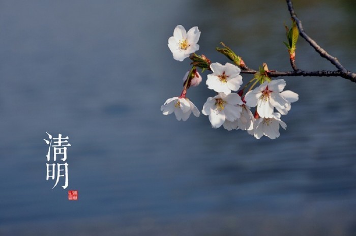 祭奠那些惨遭邪教毒手的冤魂