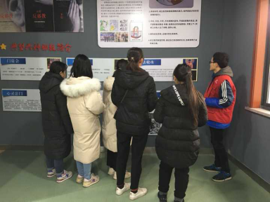 浙江省平湖市将反邪元素融入特色小镇文化创建中563 浙江省平湖市将反邪元素融入特色小镇文化创建中563