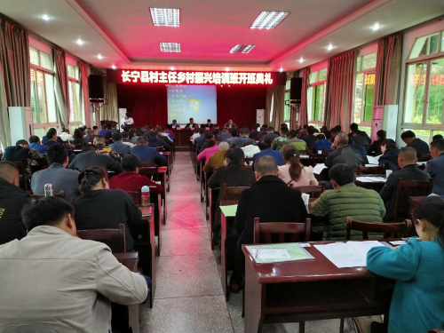 图片1 图片1