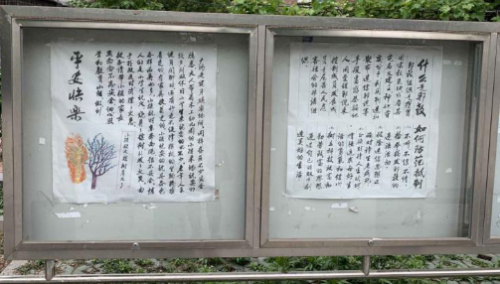 书画言志，心系反邪331