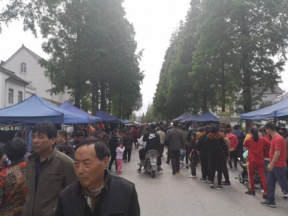三月廿三赶庙会,反邪宣传正当时4.28(1)104 三月廿三赶庙会,反邪宣传正当时4.28(1)104