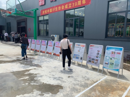 图片3 图片3