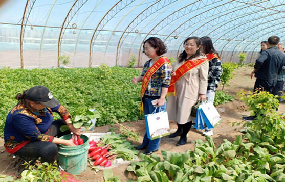 内蒙古二连浩特市反邪教协会借助宗教政策法规宣传月开展反邪教宣传活动