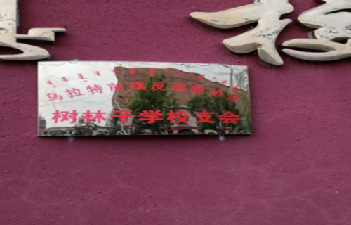 内蒙古巴彦淖尔市乌拉特前旗反邪教协会努力发挥基层反邪教作用495 内蒙古巴彦淖尔市乌拉特前旗反邪教协会努力发挥基层反邪教作用495