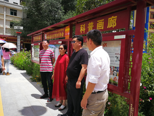 图片10 图片10