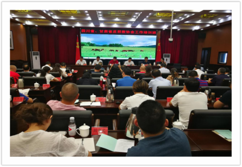 图片1 图片1